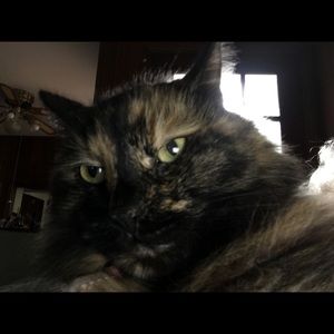 Meet your Posher, Nancy